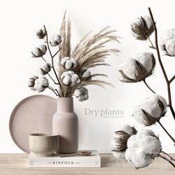 Decorative set with dry plants 5 