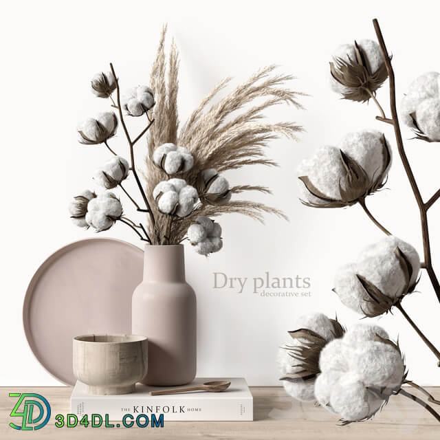 Decorative set with dry plants 5