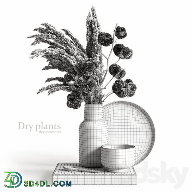 Decorative set with dry plants 5