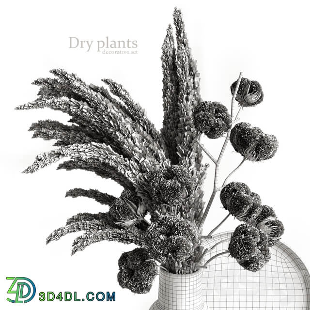 Decorative set with dry plants 5