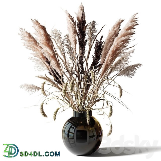 Bouquet of tall dry grass in a black vase