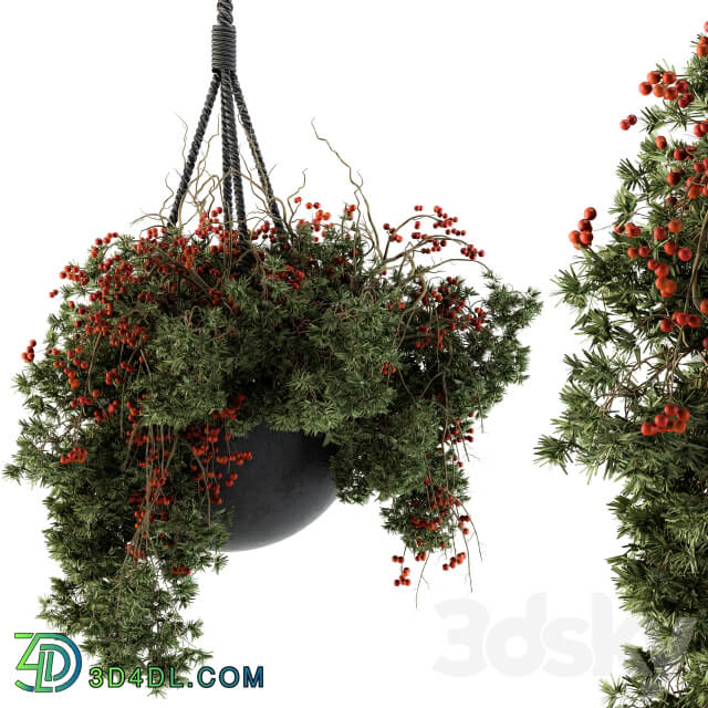 Hanging Pot plant Set 102