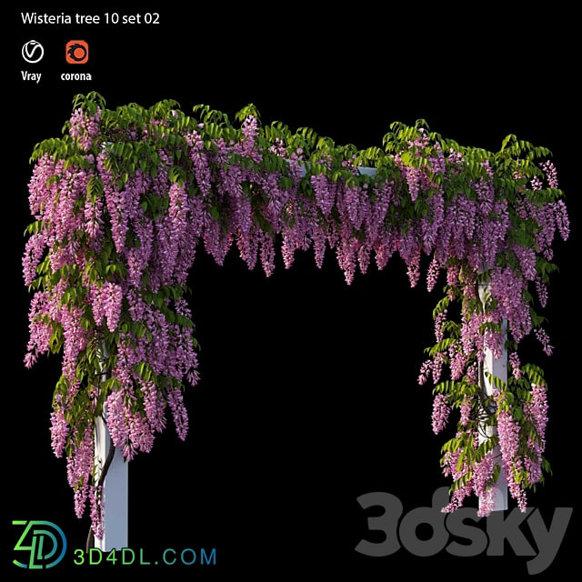 wisterial tree 10 set 02