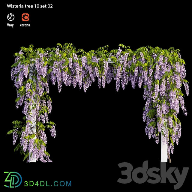 wisterial tree 10 set 02