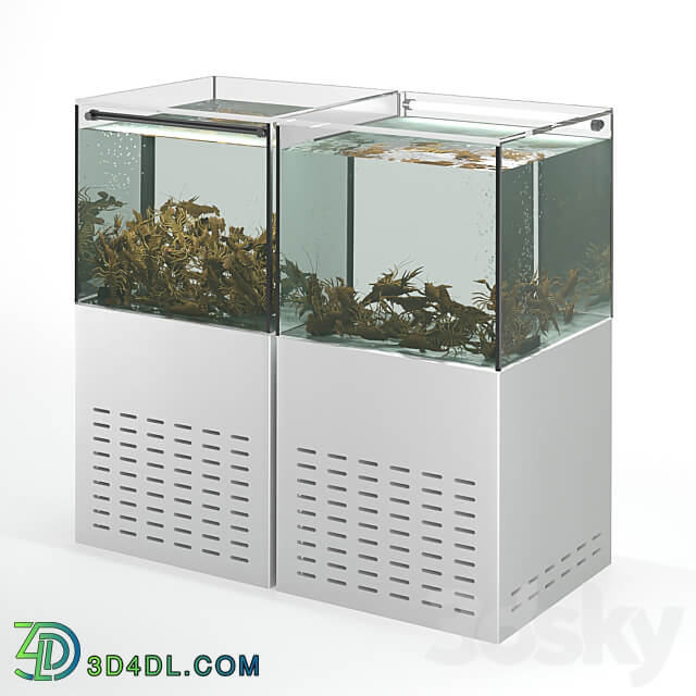 Shop Crayfish aquarium