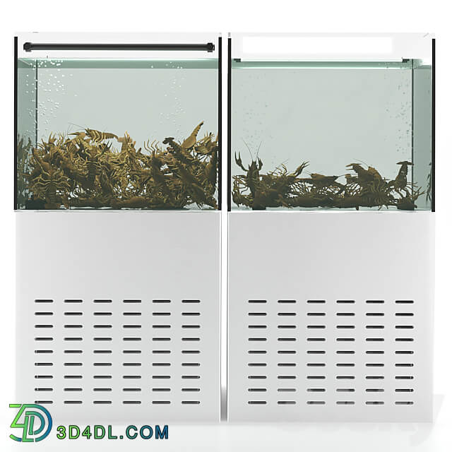 Shop Crayfish aquarium