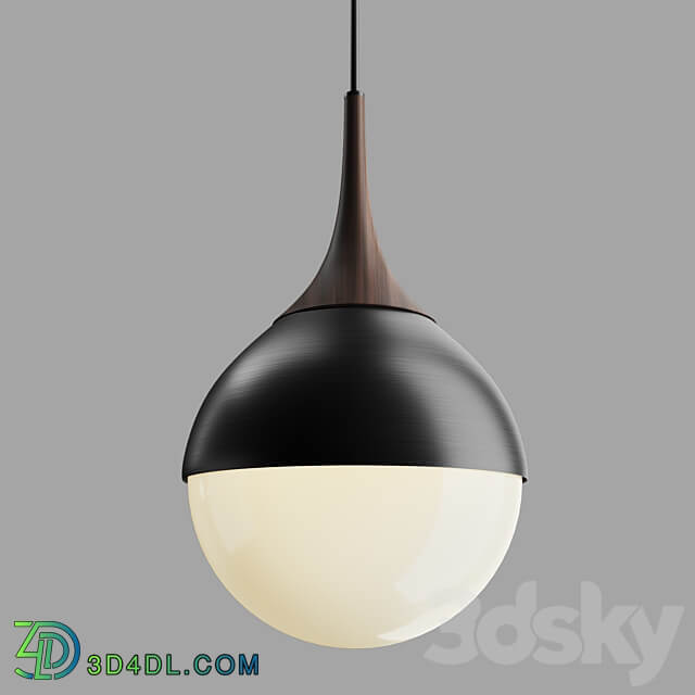 Pendant light Pendant lamp Poise