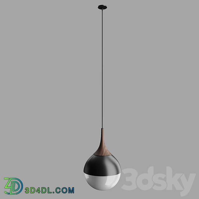 Pendant light Pendant lamp Poise