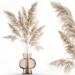 Bouquet 145. Pampas grass vase dried flowers reeds Cortaderia white luxury decor natural decor eco design glass branches 3D Models 