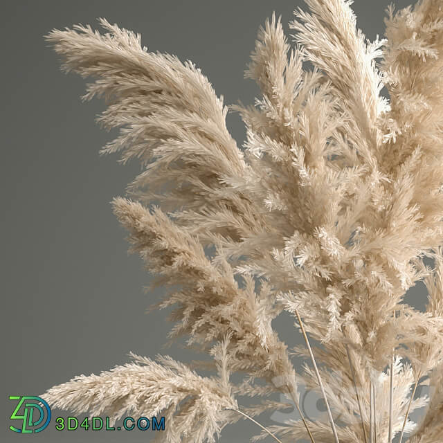 Bouquet 145. Pampas grass vase dried flowers reeds Cortaderia white luxury decor natural decor eco design glass branches 3D Models
