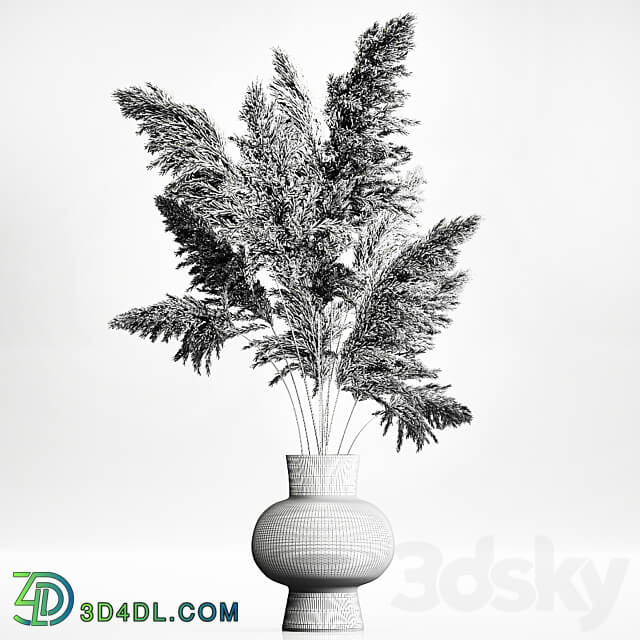 Bouquet 145. Pampas grass vase dried flowers reeds Cortaderia white luxury decor natural decor eco design glass branches 3D Models