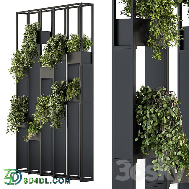 Fitowall Green Wall Plants partition 02