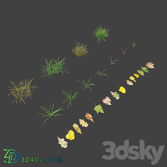 Autumn Grass 01 3D Models 3DSKY