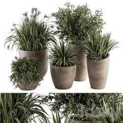 Outdoor Plant Set 311 Yuka and Bush Set in Concrete Pot 3D Models 3DSKY 