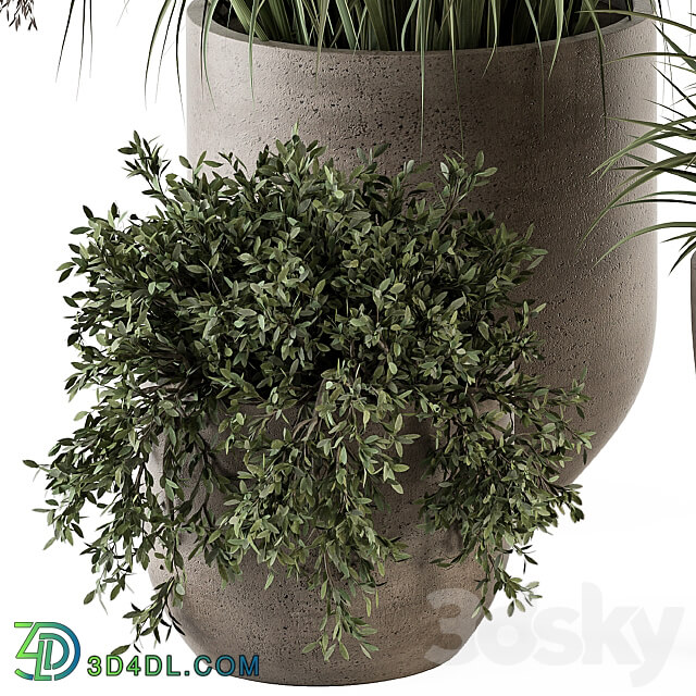 Outdoor Plant Set 311 Yuka and Bush Set in Concrete Pot 3D Models 3DSKY