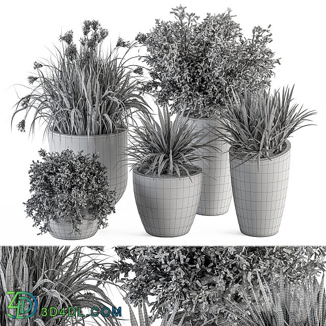 Outdoor Plant Set 311 Yuka and Bush Set in Concrete Pot 3D Models 3DSKY