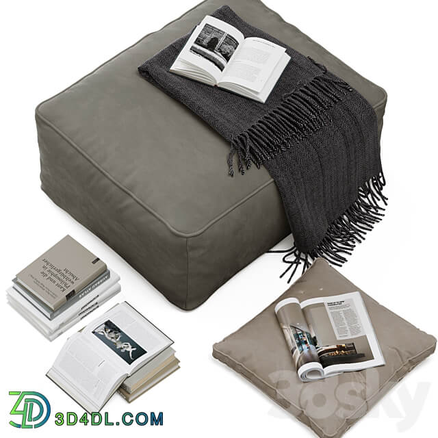 Floor decor set 001 with pouf and books 3D Models