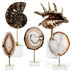 Sea shell decorative set 02 3D Models 3DSKY 