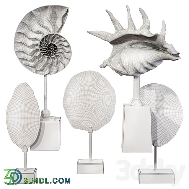 Sea shell decorative set 02 3D Models 3DSKY