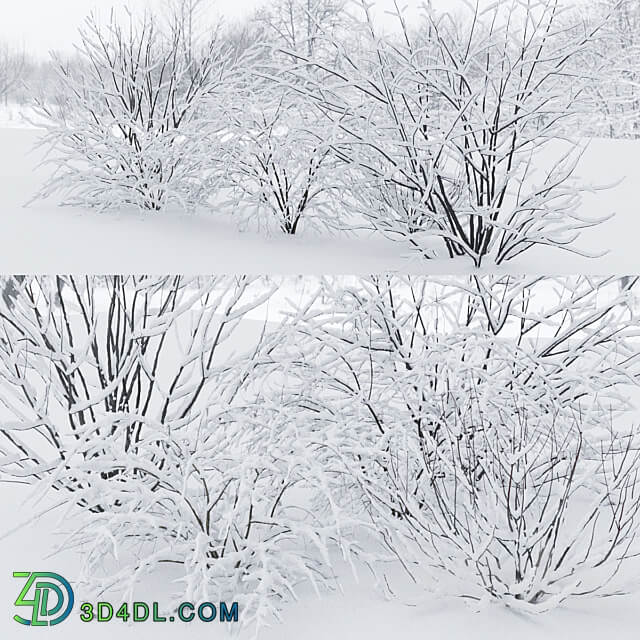Winter bushes 1 3D Models 3DSKY