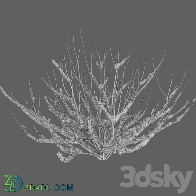 Winter bushes 1 3D Models 3DSKY