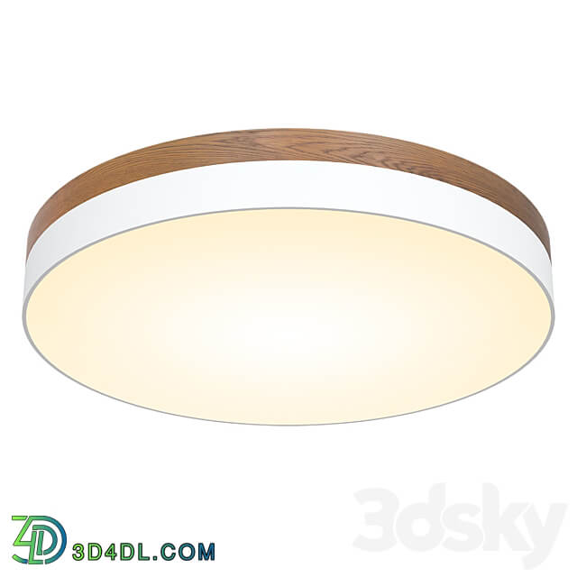 DLC73029 Wooden Ceiling lamp 3D Models