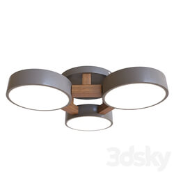 Joist Gray 40.5111 OM Ceiling lamp 3D Models 