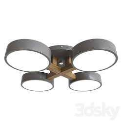 Joist Gray 40.6211 OM Ceiling lamp 3D Models 