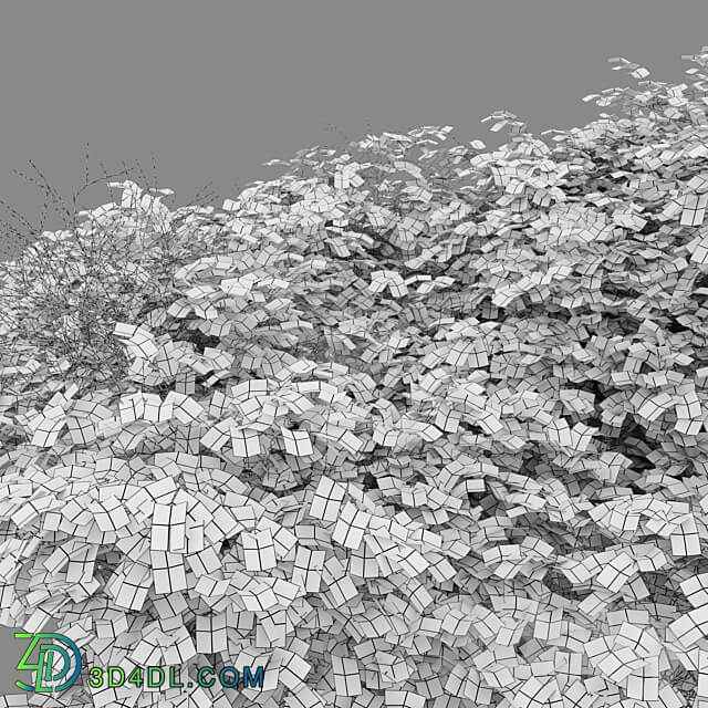 bush 022 3D Models