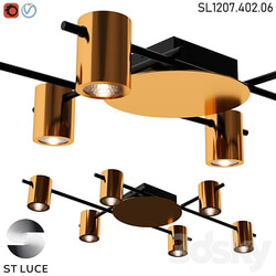 Ceiling lamp SL1207.402.06 OM Ceiling lamp 3D Models 