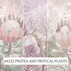 Creativille wallpapers 4225 Protea and Tropical Plants 3D Models 