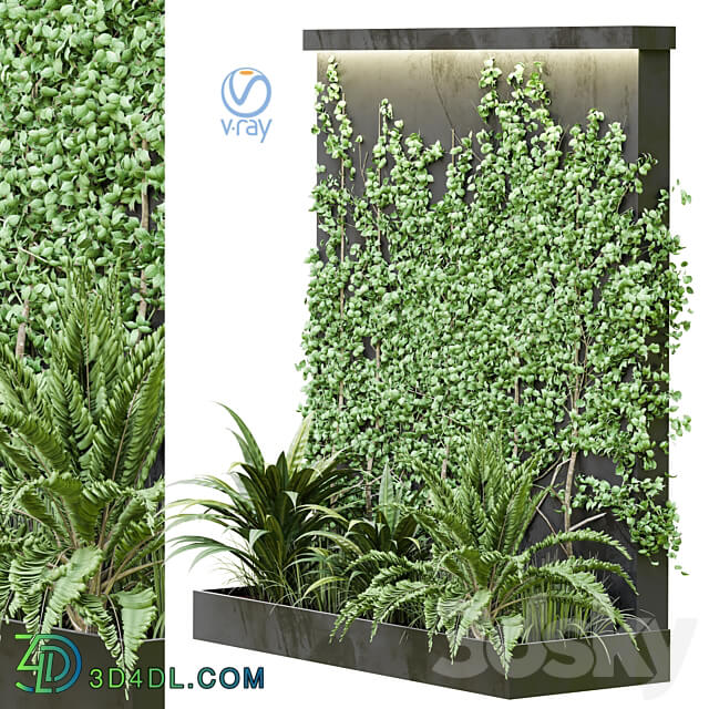 Outdoor Plant Vol38 3D Models