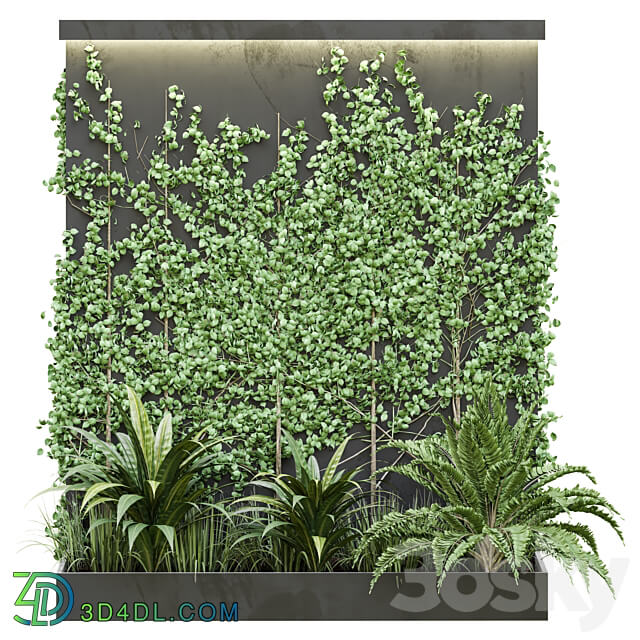 Outdoor Plant Vol38 3D Models