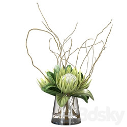 Green bouquet with protea 3D Models 