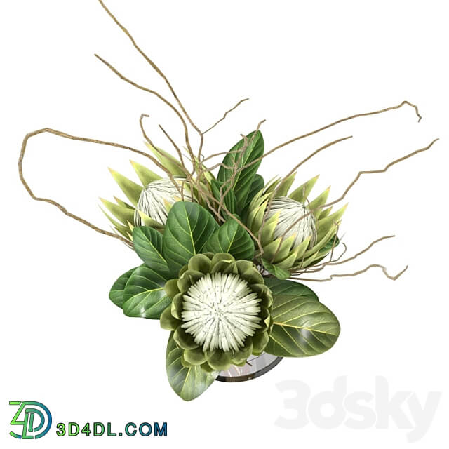 Green bouquet with protea 3D Models