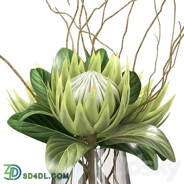 Green bouquet with protea 3D Models