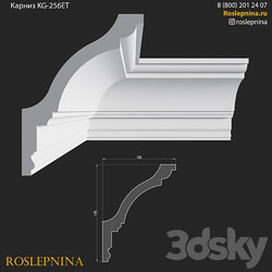 Cornice KG 256ET from RosLepnina 3D Models 