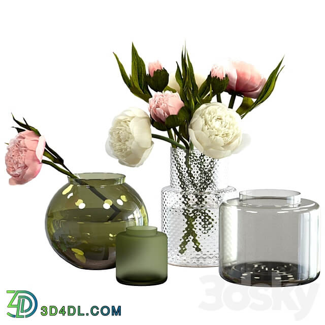 Peonies in IKEA vases 3D Models