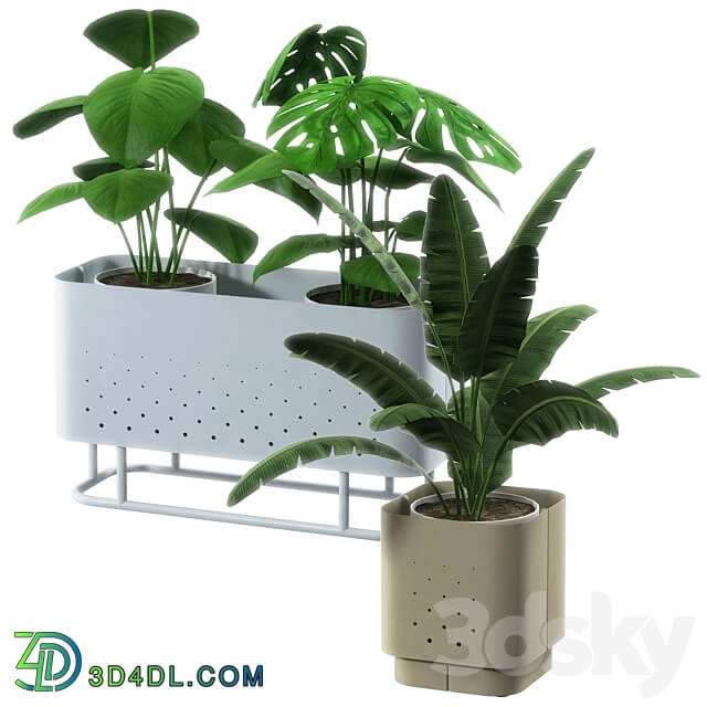 OM Planter Aiuola 3D Models