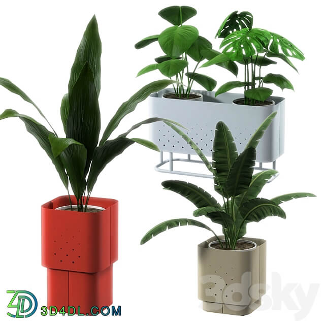 OM Planter Aiuola 3D Models