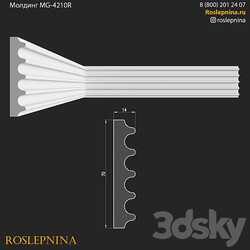 MG 4210R from RosLepnina 3D Models 