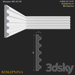 MG 4213R from RosLepnina 3D Models 