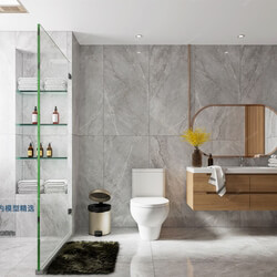 3D66 2021 Toilet Bathroom Modern Style CrA014 