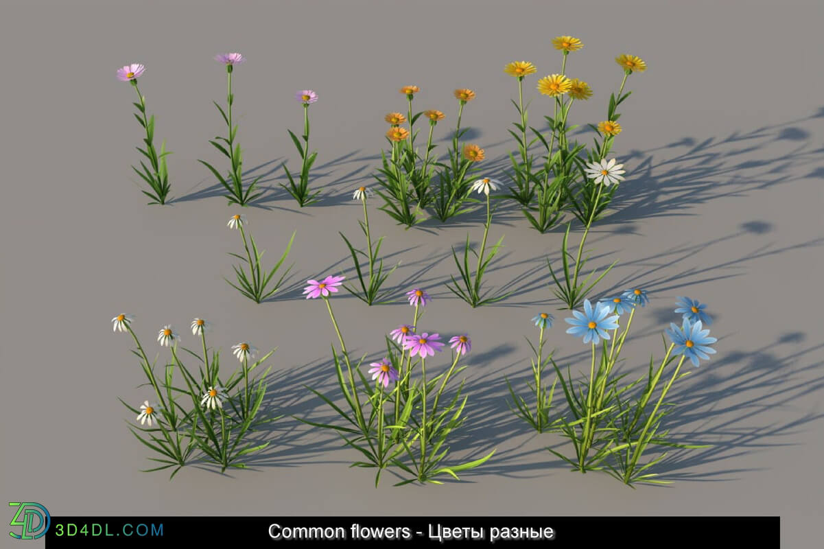 3dMentor HQGrass 01 common flowers 01