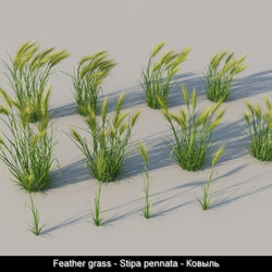 3dMentor HQGrass 01 feather grass 01 