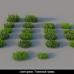 3dMentor HQGrass 01 lawn grass 01 