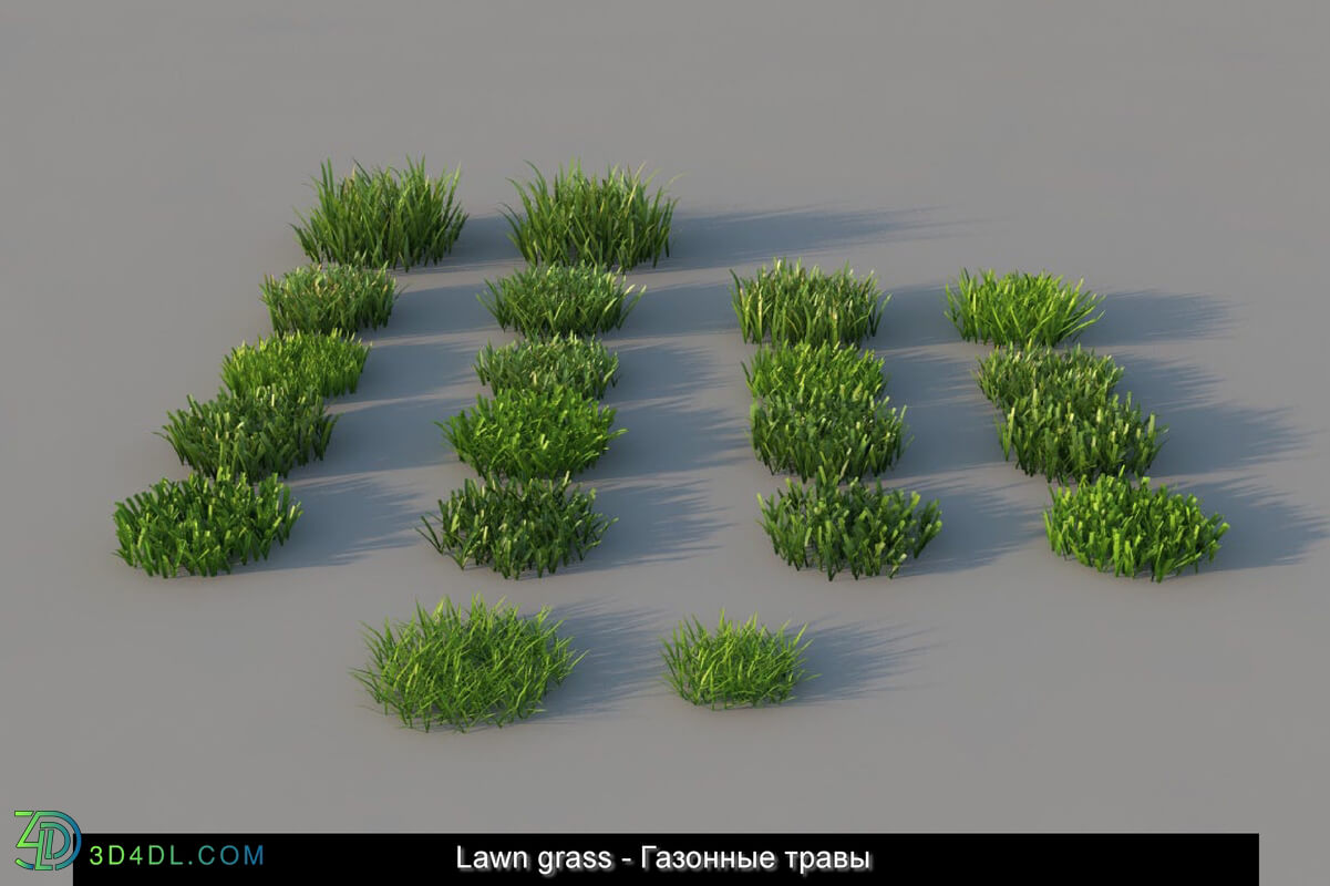 3dMentor HQGrass 01 lawn grass 01