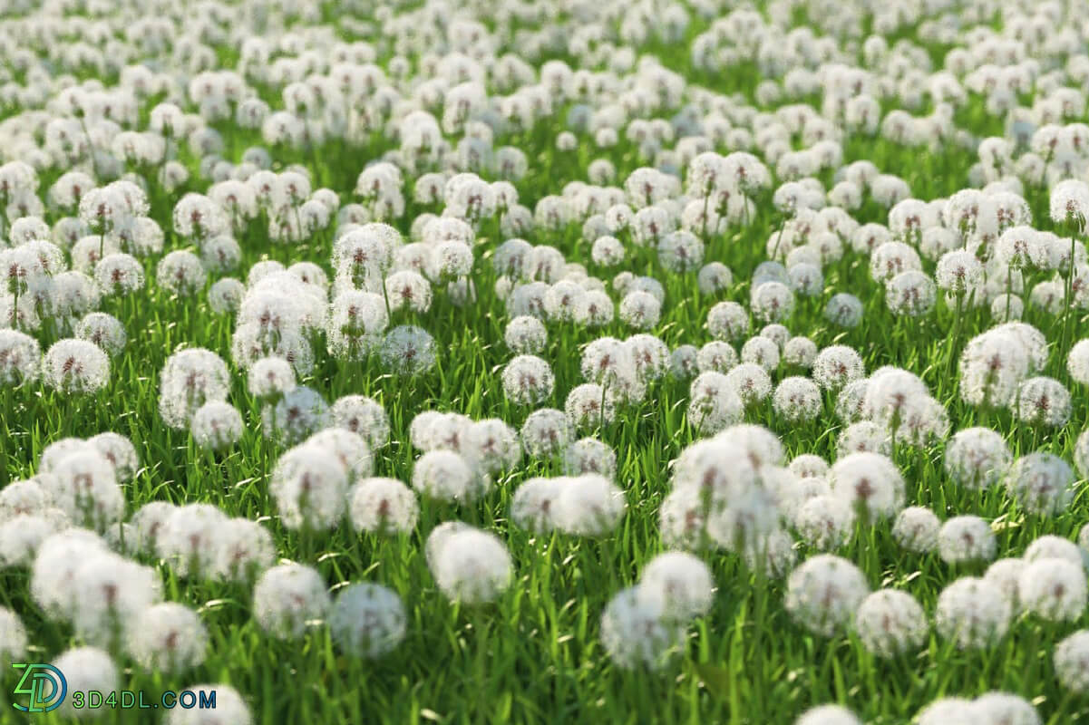 3dMentor HQGrass 01 scene dandelion 2