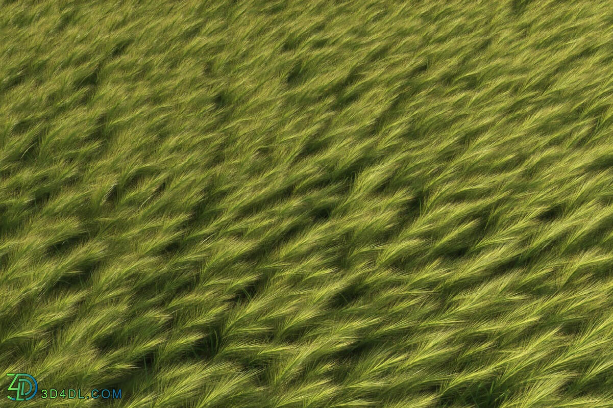 3dMentor HQGrass 01 scene feather grass 1