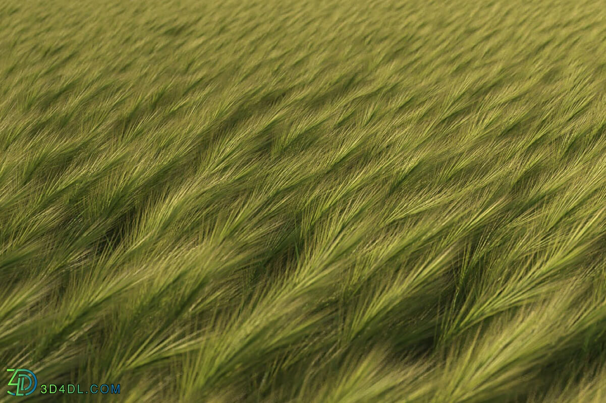 3dMentor HQGrass 01 scene feather grass 1